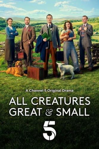    -    / All Creatures Great and Small (2020)